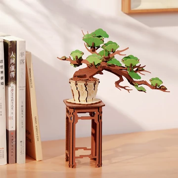 3D puzzle - Örökzöld Bonsai