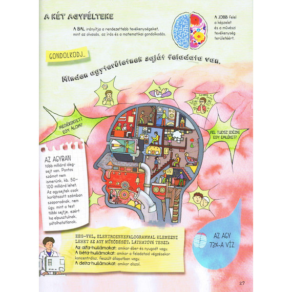 Szórakoztató tudomány - Az emberi test csodája