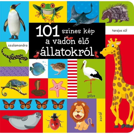 101 színes kép a vadon élő állatokról 101 színes kép a vadon élő állatokról