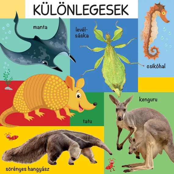 101 színes kép a vadon élő állatokról 101 színes kép a vadon élő állatokról
