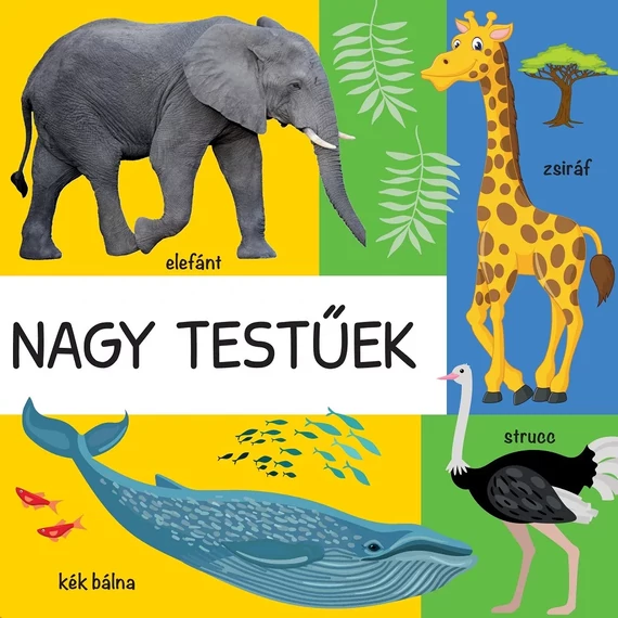 101 színes kép a vadon élő állatokról 101 színes kép a vadon élő állatokról