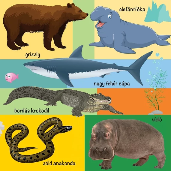 101 színes kép a vadon élő állatokról 101 színes kép a vadon élő állatokról