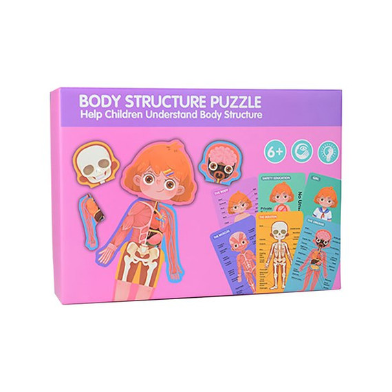 Az emberi test felépítése - Body Structure - Lány