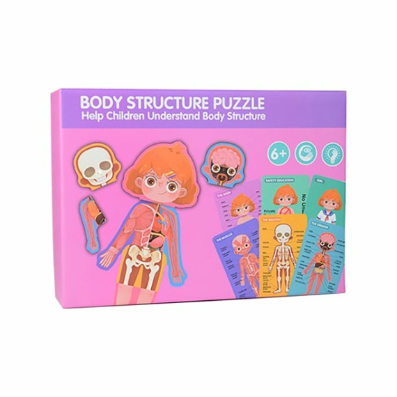 Body Structure - Az emberi test - Lány
