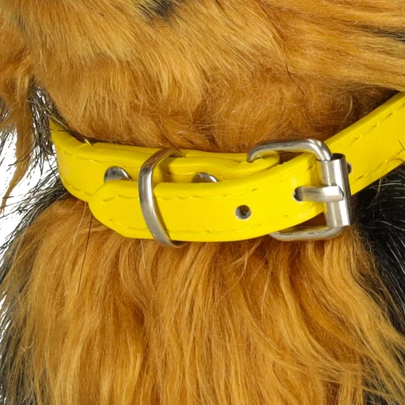 Interaktív yorkie kutya